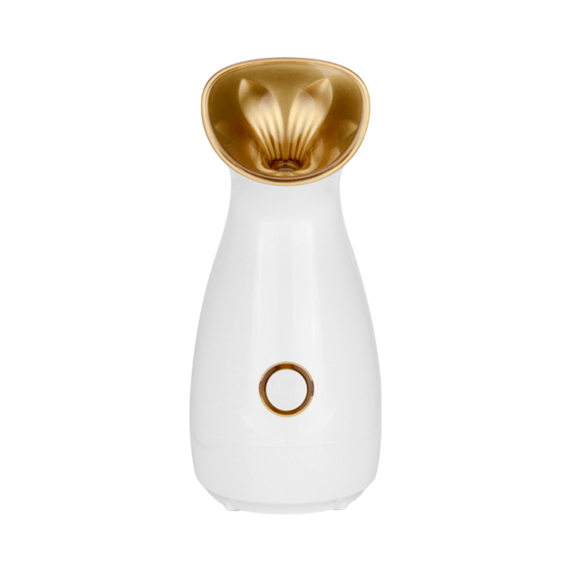 Nano Ionic Facial Steamer - Onskynn